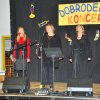 Dobrodelni Videm_088